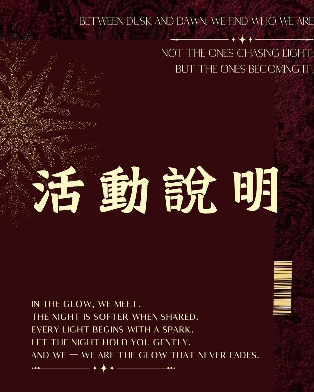 Chasing Light Guidelines Poster